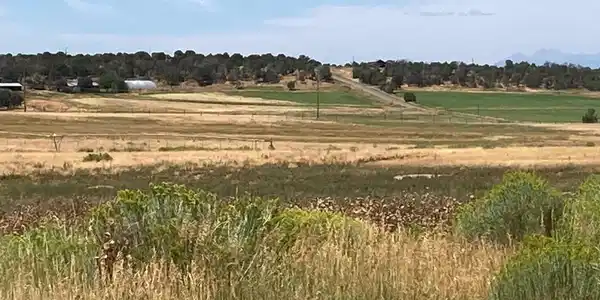 80 AC TBD 42ZS Road