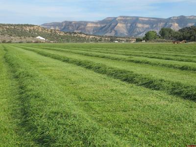 TBD Lot 2 Road G