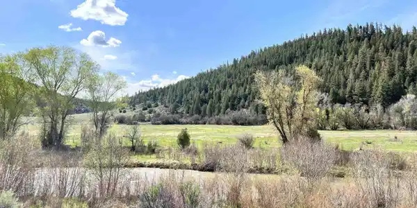 tbd County Road 551