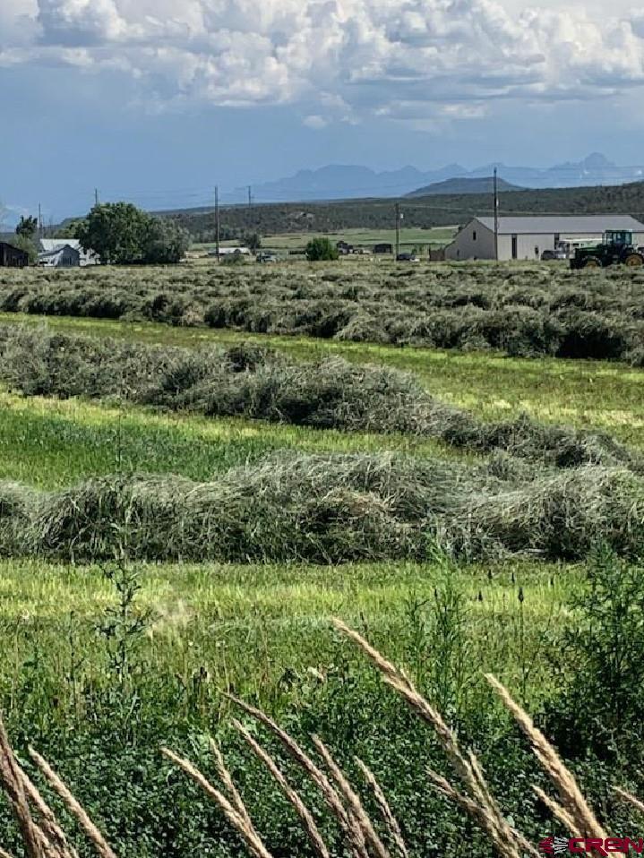 Image 2: Hay fields