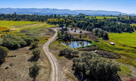 4334 County Road 509