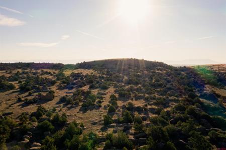 Tract 31a Pronghorn Trail