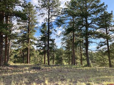 Lot 10 Poplar Place