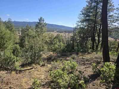 147 Cat Creek Overlook