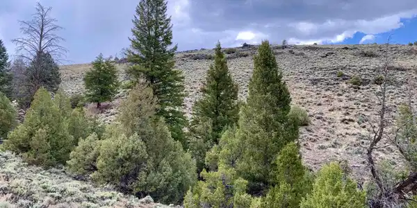 TBD CO Hwy 114