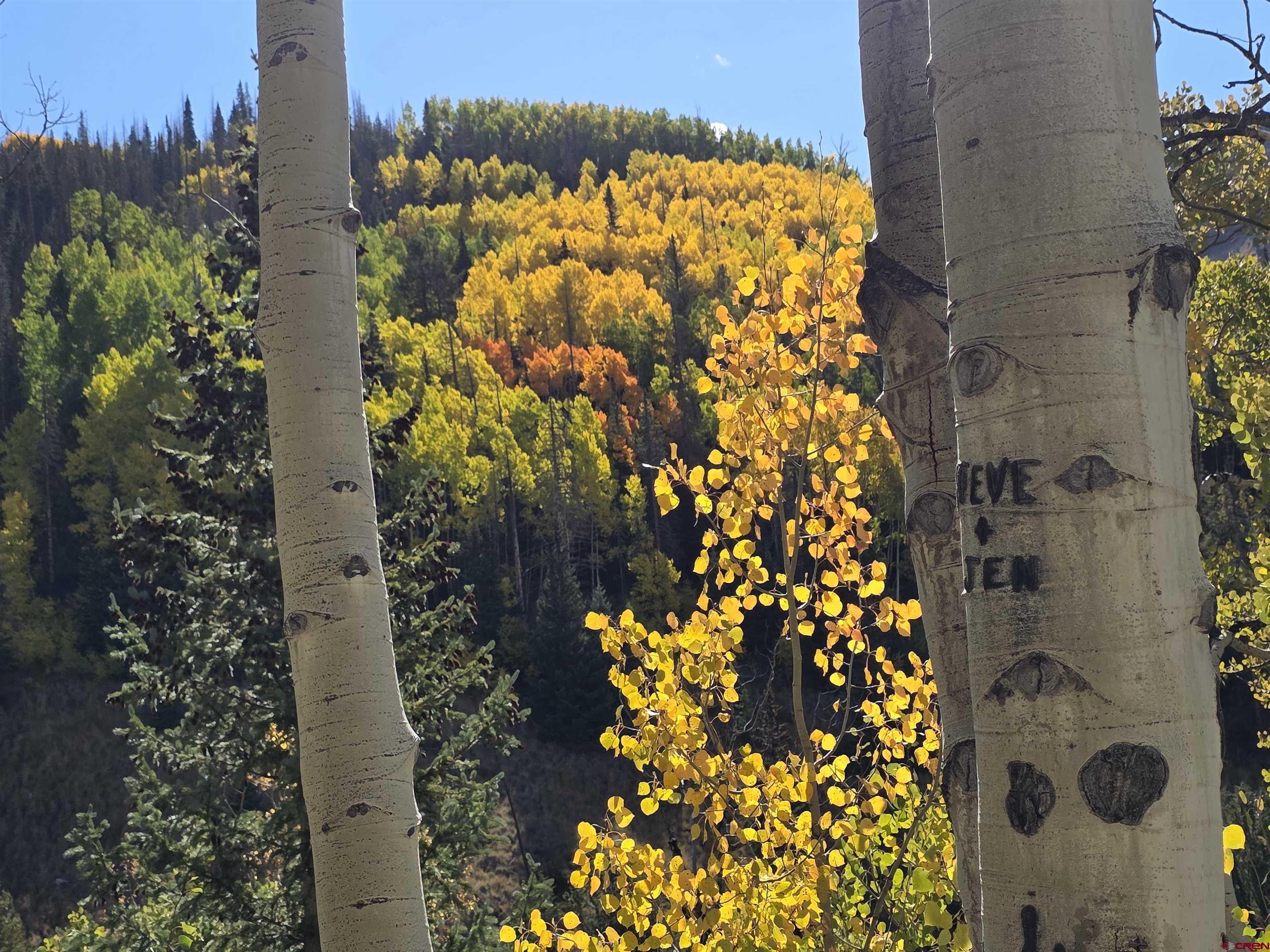 Image 3: Fall