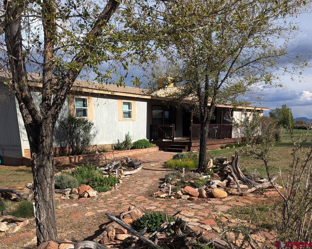 Image 1: Front Yard