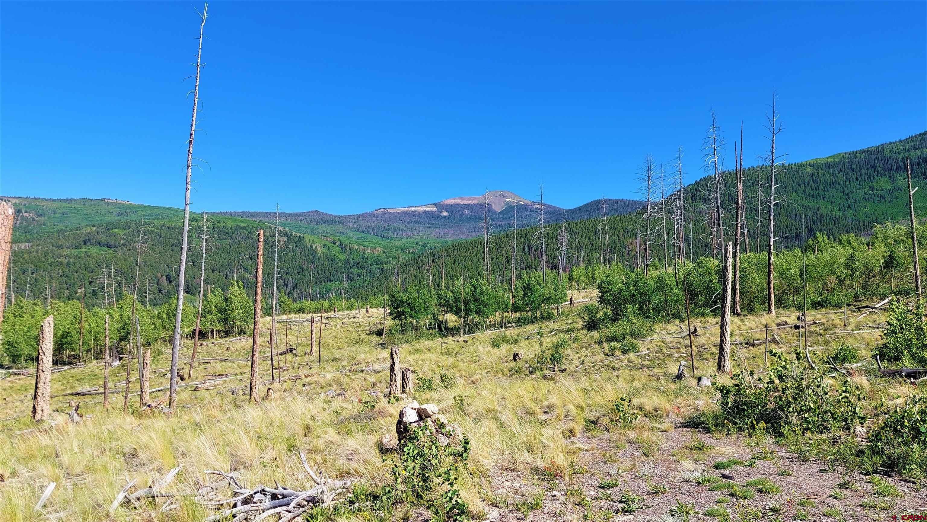Image 4: Mountain View