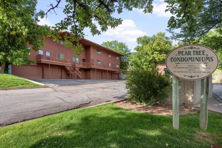 543 Animas View Drive