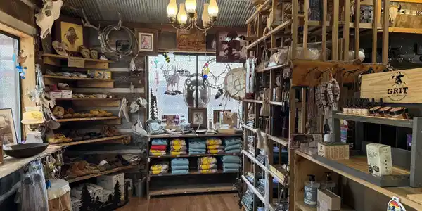 Image 4