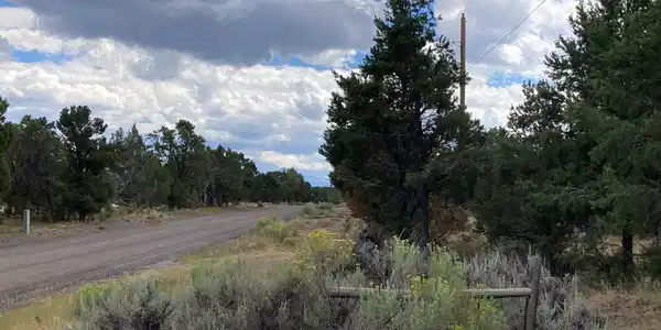 Lot 6 County Road 22