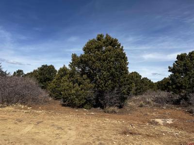 Lot 1 Road J.7