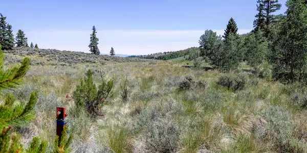 TBD Cochetopa Trail