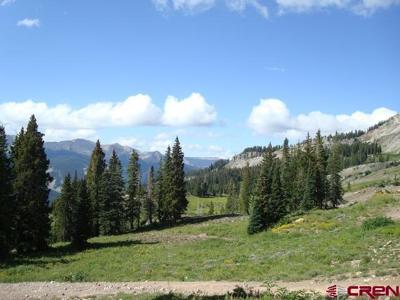 TBD Forest Service Road 826 D1