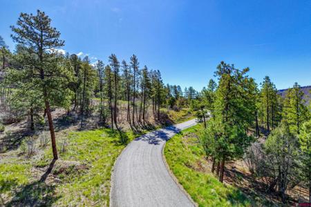 701 Durango Cliffs Drive