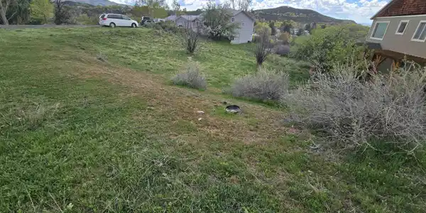 36 Box Elder Drive