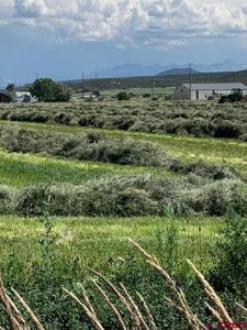 Lot: 1 Highway 550