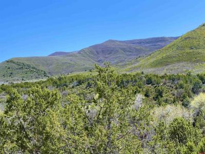 TBD County Road 306