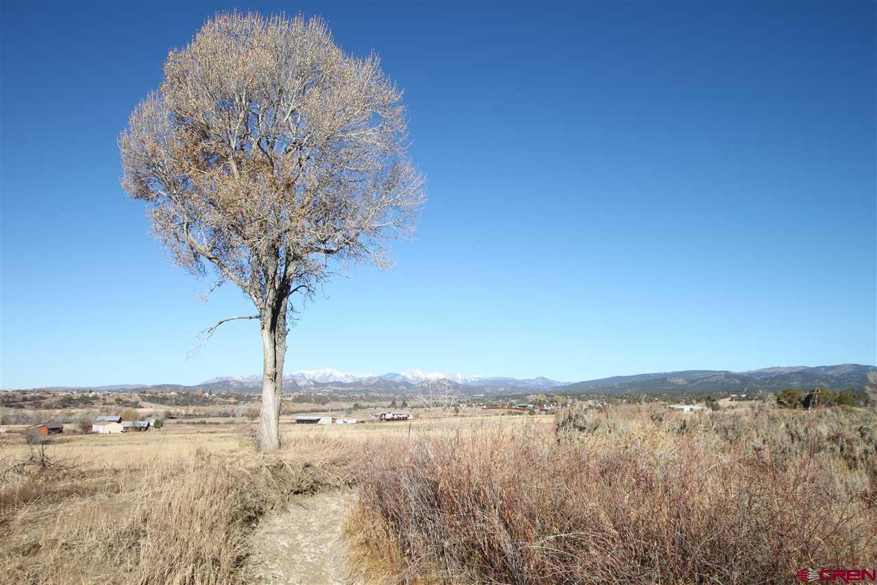 Image 1: Irrigated Pasture