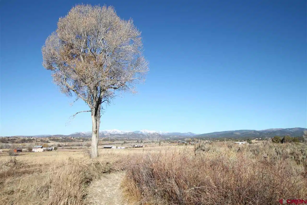 Image 1: Irrigated Pasture