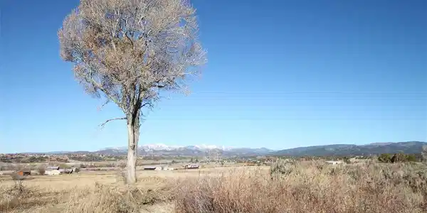 TBD County Road 510