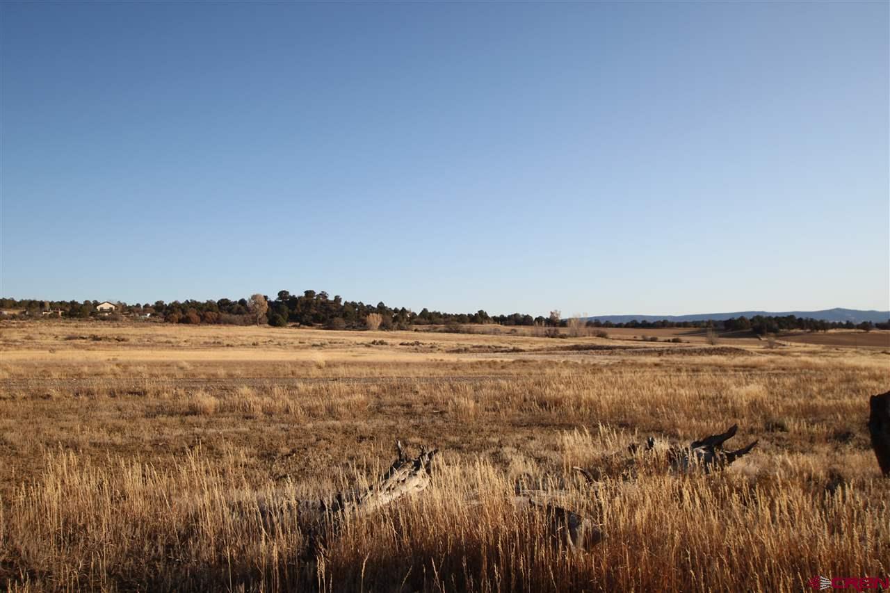 Image 3: Irrigated Pasture
