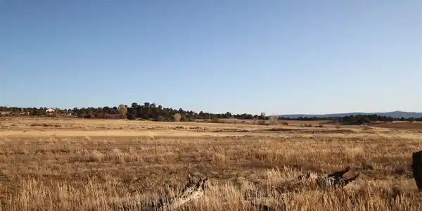 Image 3: Irrigated Pasture