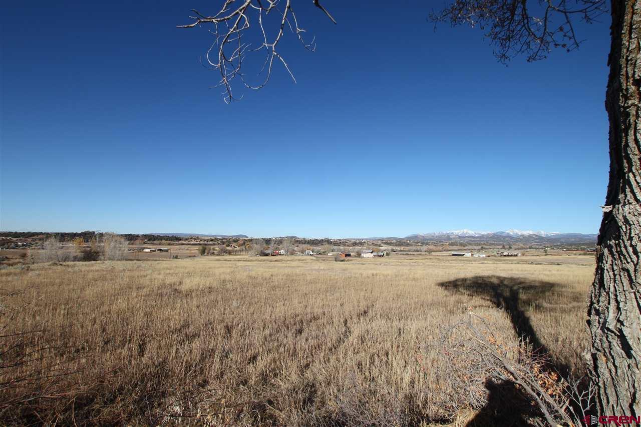 Image 4: Irrigated Pasture