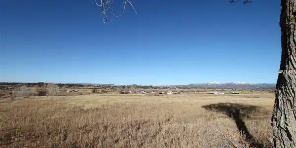 Image 4: Irrigated Pasture