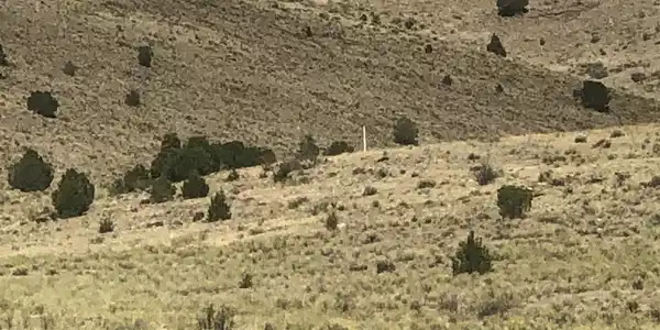 TBD Co Rd 33HH Road