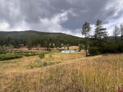 3230 Bear Creek Road