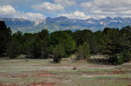 TBD Ponderosa Drive
