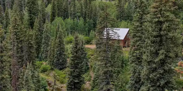 312 Columbine Road