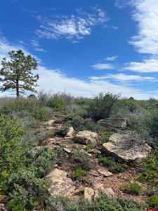 Lot 30 County Road C-3