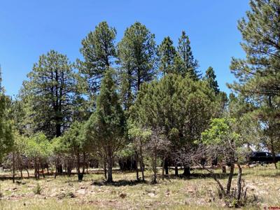 Lot 324 Bear Cub Drive