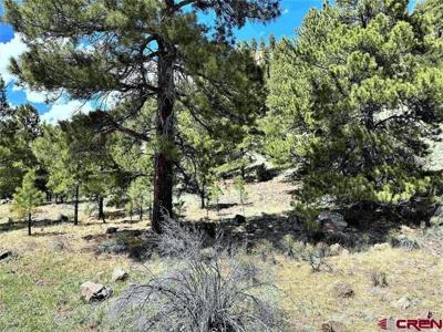 TBD State Hwy 149