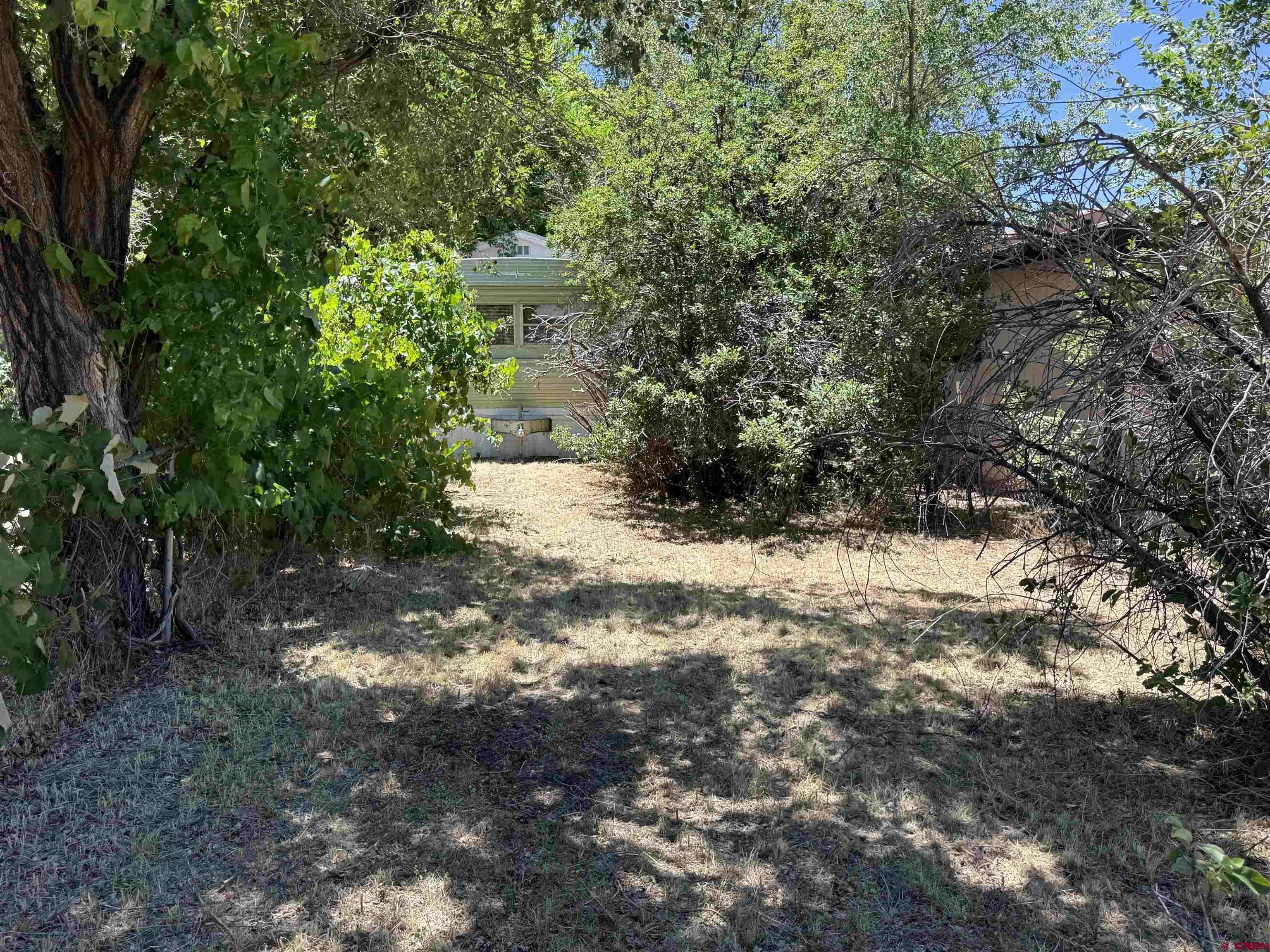 Image 4: Front Yard
