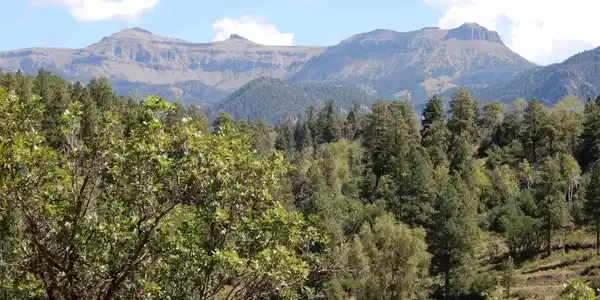 775 Banded Peaks Drive