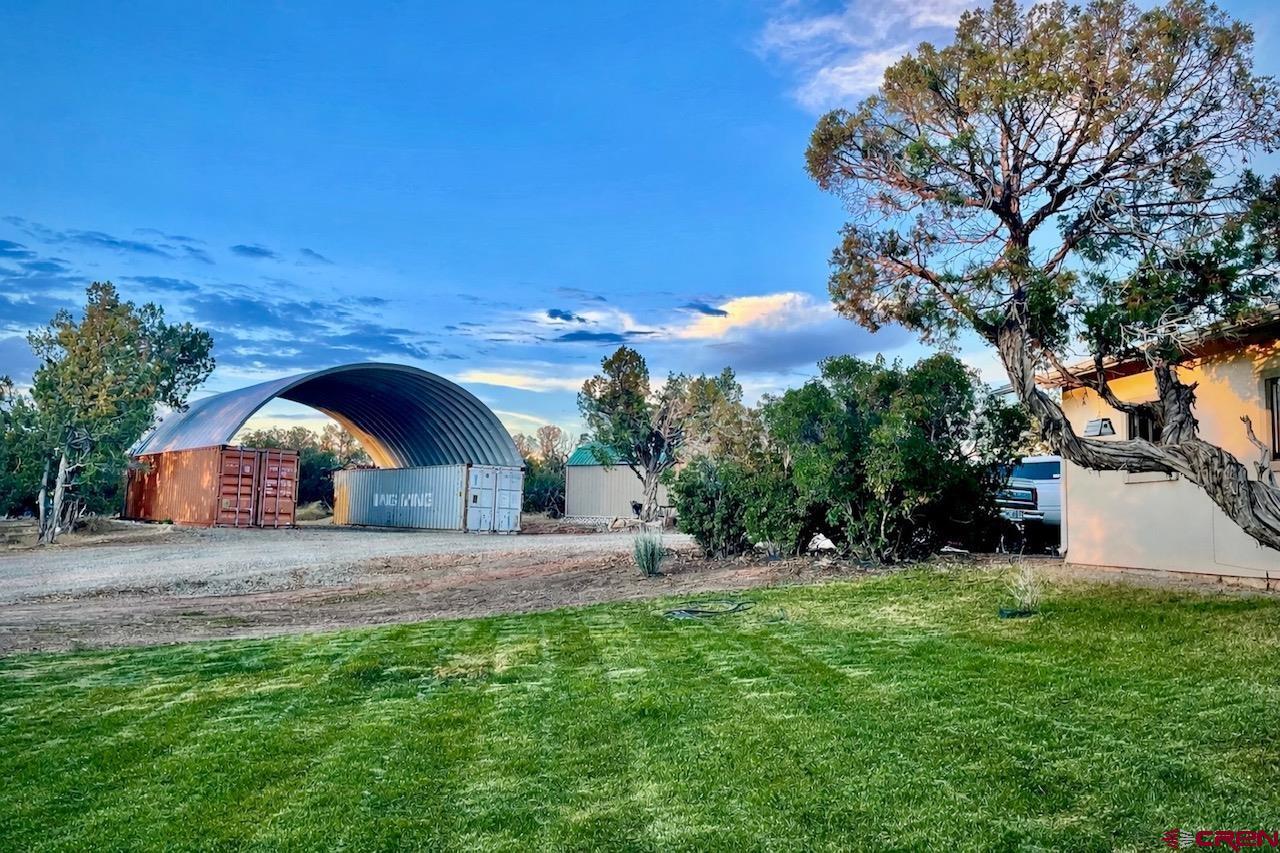 Image 3: Summer time view of yard