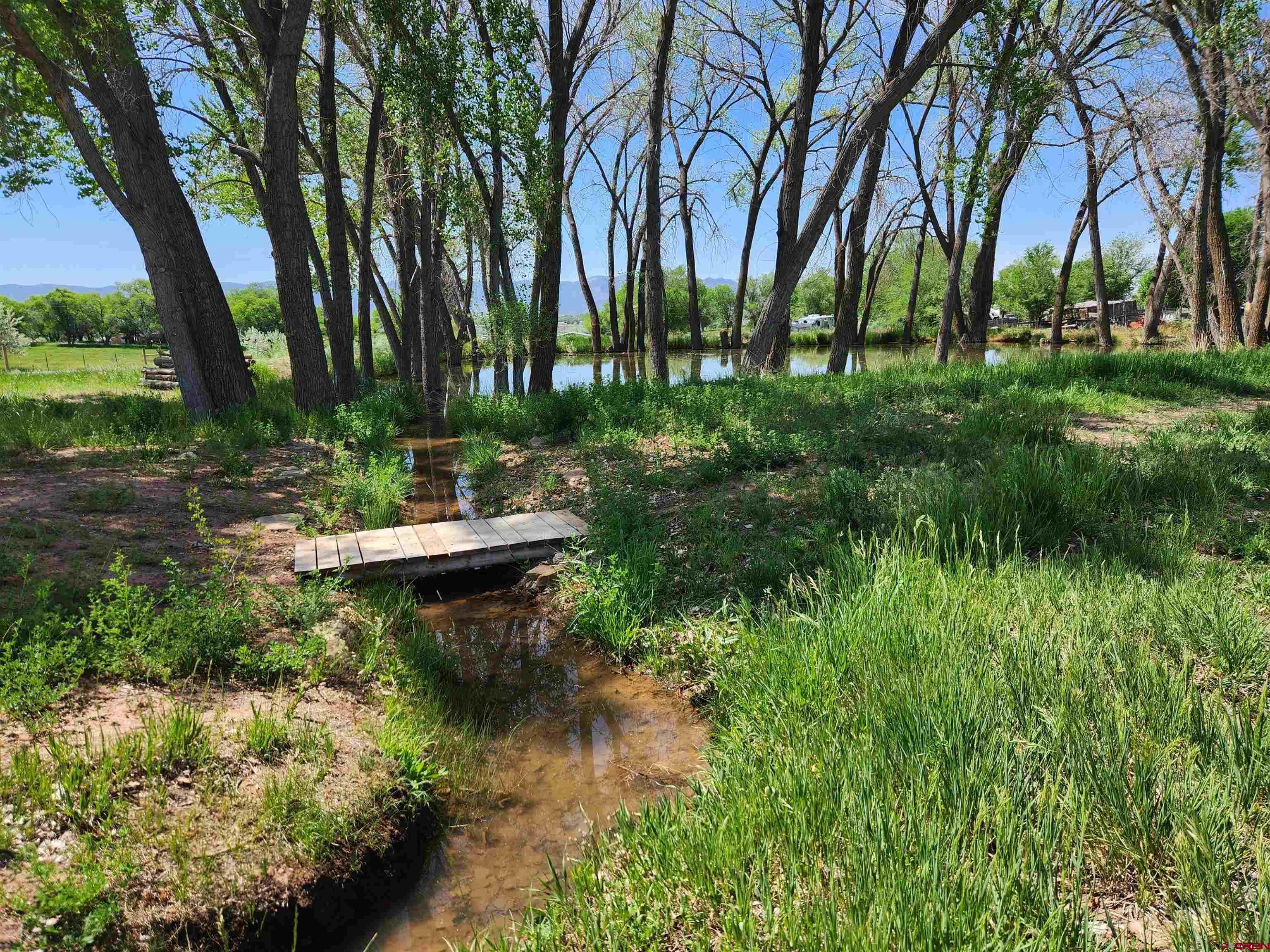 Image 2: Pond