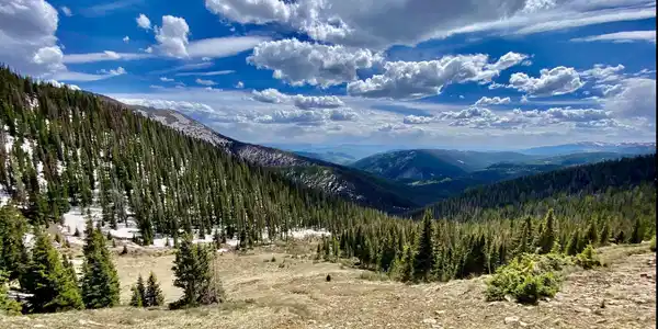 1800 Forest Service 765-3C Road