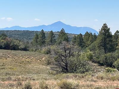 TBD FSR 259