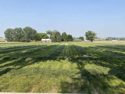 TBD 1.5 Acres Ida Road