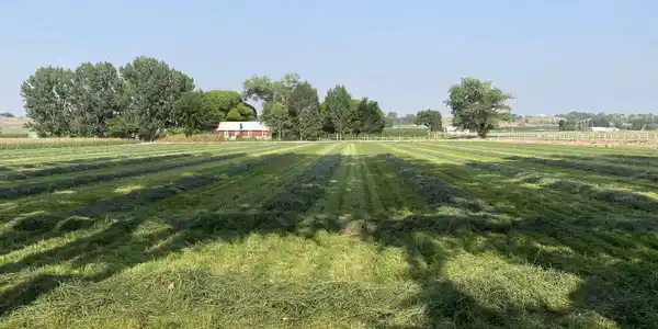 TBD 1.5 Acres Ida Road