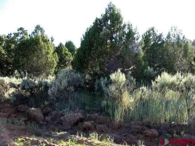 #10 Juniper Drive