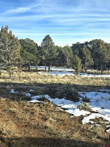 751 Mourning Dove Trail