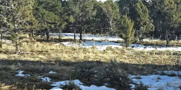 751 Mourning Dove Trail