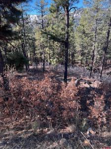 238 Deer Ridge Drive