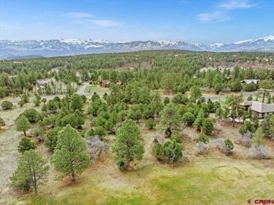 935 Marmot Drive