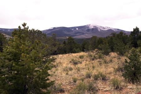 877 Vail Pass Road
